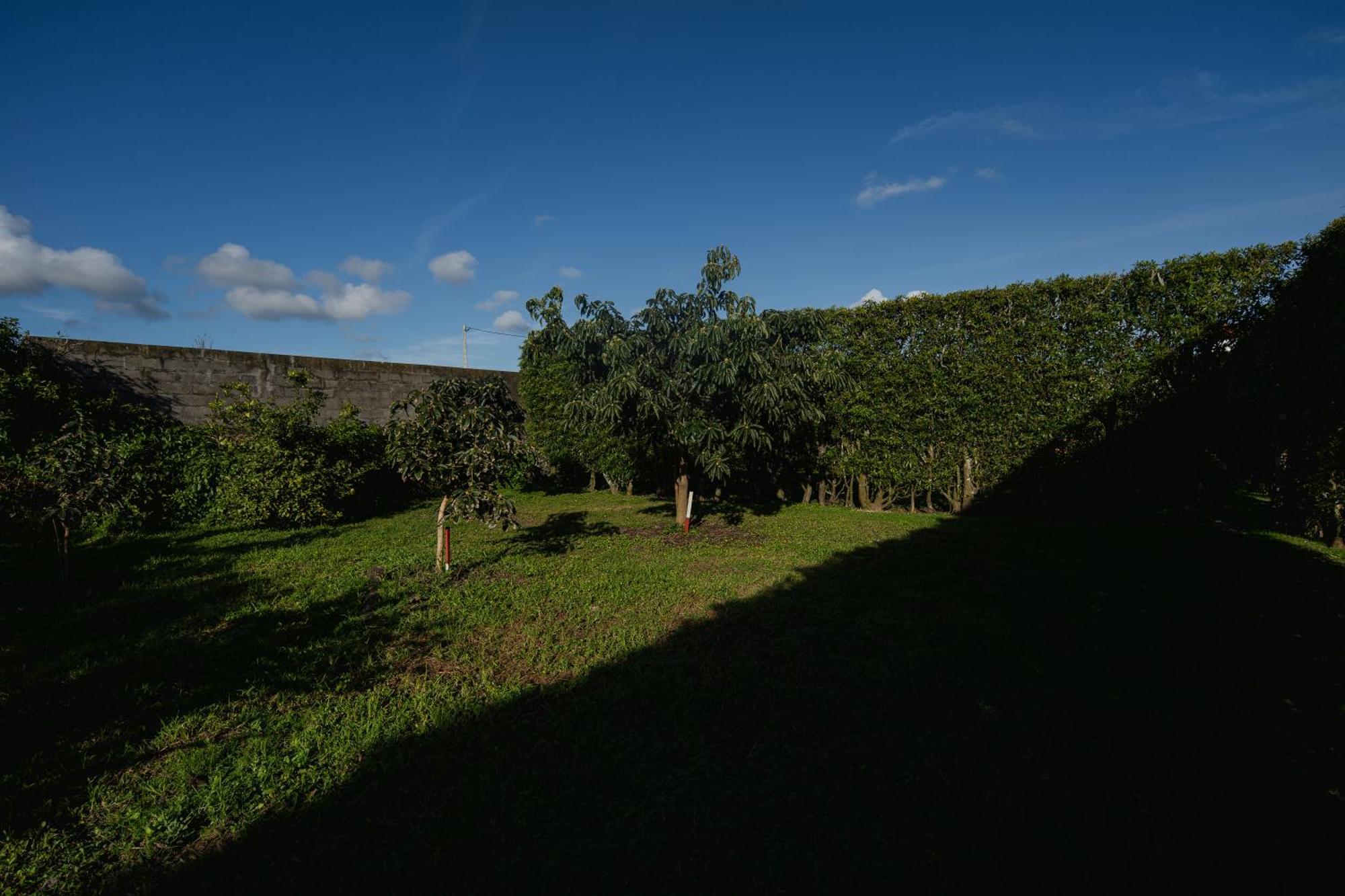 Вилла Quinta Do Ferreiro Понта-Делгада Экстерьер фото